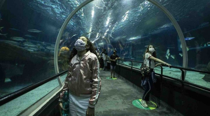 Maior aquário marinho da América do Sul, o AquaRio abre todos os dias para público reduzido que deve manter distanciamento e usar máscara durante todo o passeio.