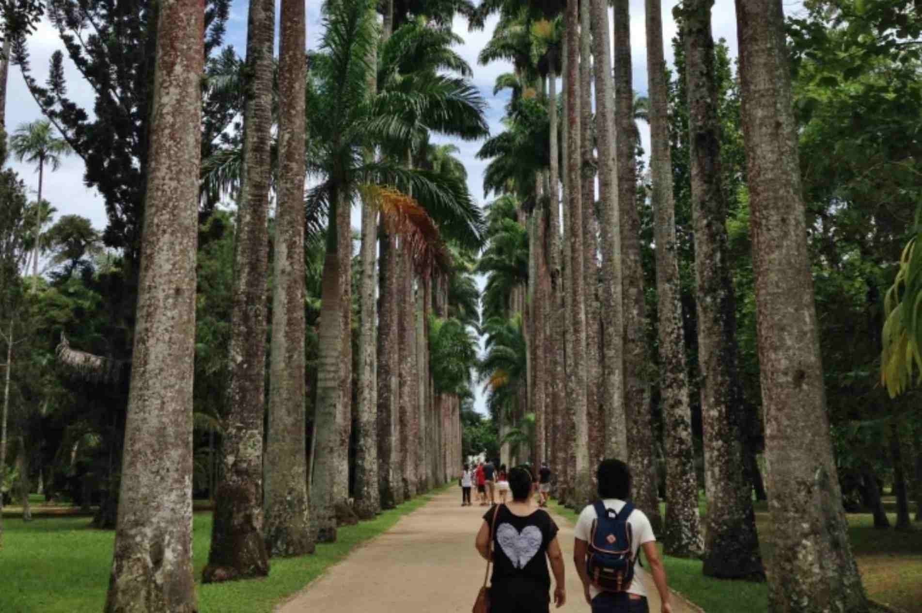 Jardim Botânico e Arquitetônico é um dos quatro roteiros disponíveis.