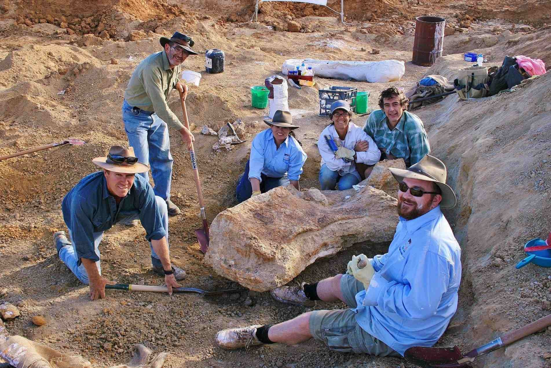 
O Australotitan cooperensis, da família dos titanossauros, foi descoberto no interior da Austrália 
