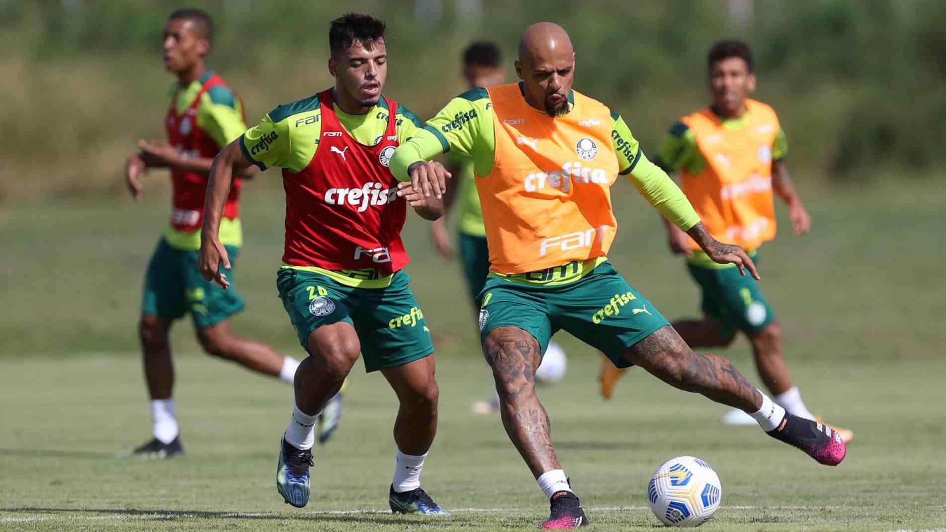 Felipe Melo deverá completar hoje 200 jogos pelo Palmeiras.