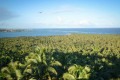 Gunga (AL) mostra o "mar" de coqueiros mesclado ao Atl&acirc;ntico. - DIVULGA&Ccedil;&Atilde;O / MINIST&Eacute;RIO DO TURISMO