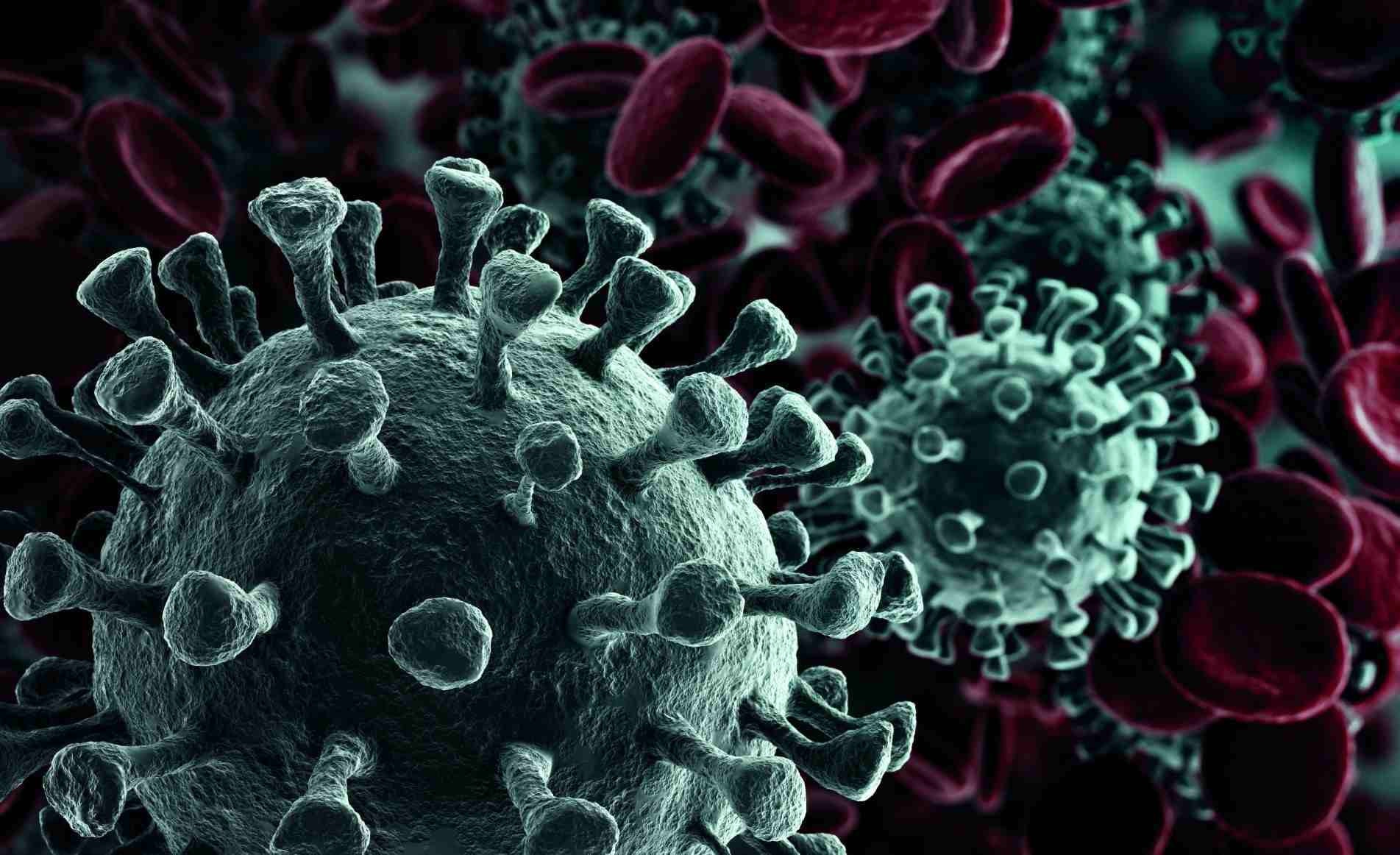 As proteínas de superfície do SARS-CoV2, que tornam possível que o vírus se ligue às células humanas, são chamadas de spike 