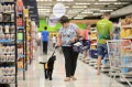 Zuma, vestindo o colete de cão-guia em socialização, junto com Sidneia, no supermercado.  - Erick Pinheiro