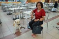 Dupla frequentou restaurantes e praça de alimentação.  - Emídio Marques/Jornal Cruzeiro do Sul