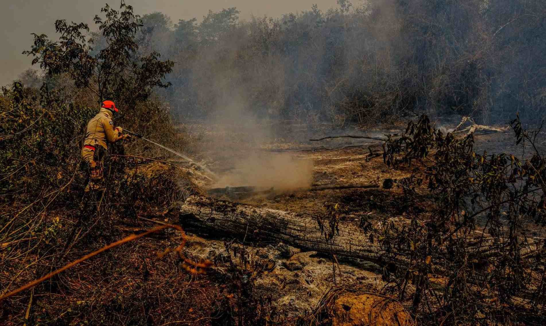 O bioma ainda se recupera das queimadas sofridas em 2020.