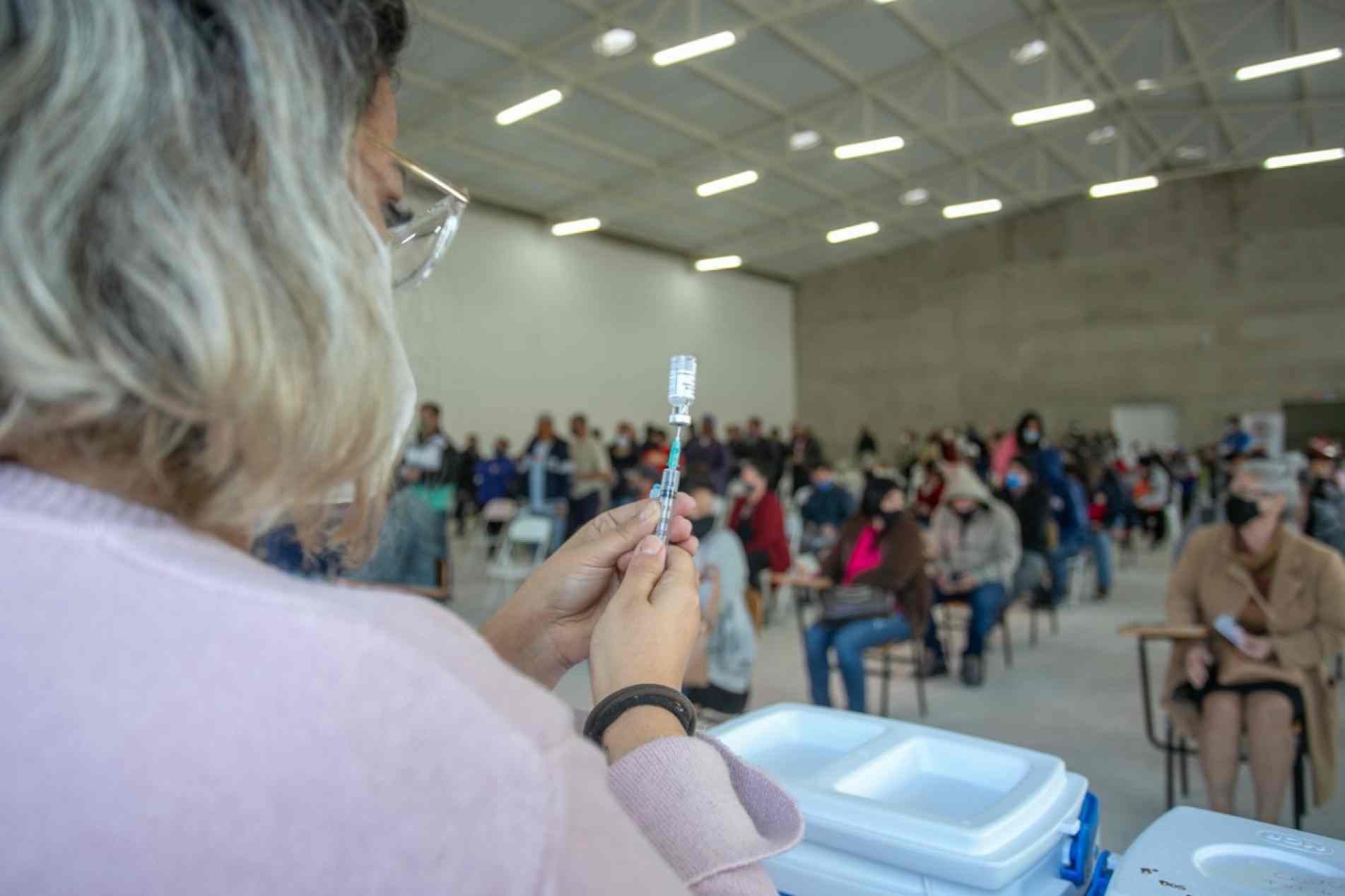Aplicação de vacinas em Piedade.