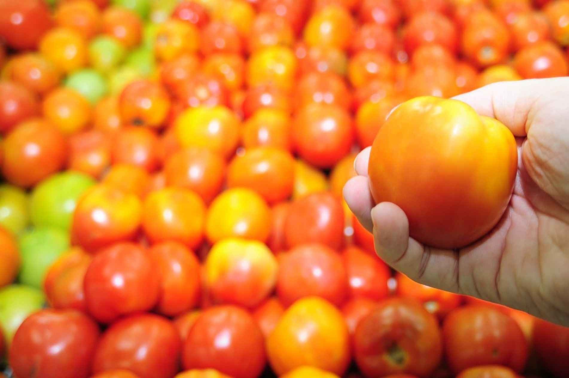 O tomate foi o item que mais aumentou de preço em 15 capitais do País, por causa do frio.