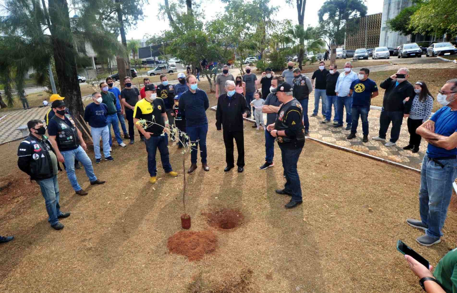 Laelso Rodrigues foi homenageado com o plantio de uma árvore, na presença do prefeito Rodrigo Manga