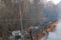 Fogo no mato destruiu ponte de madeira no bairro Ipanema do Meio. - Divulgação