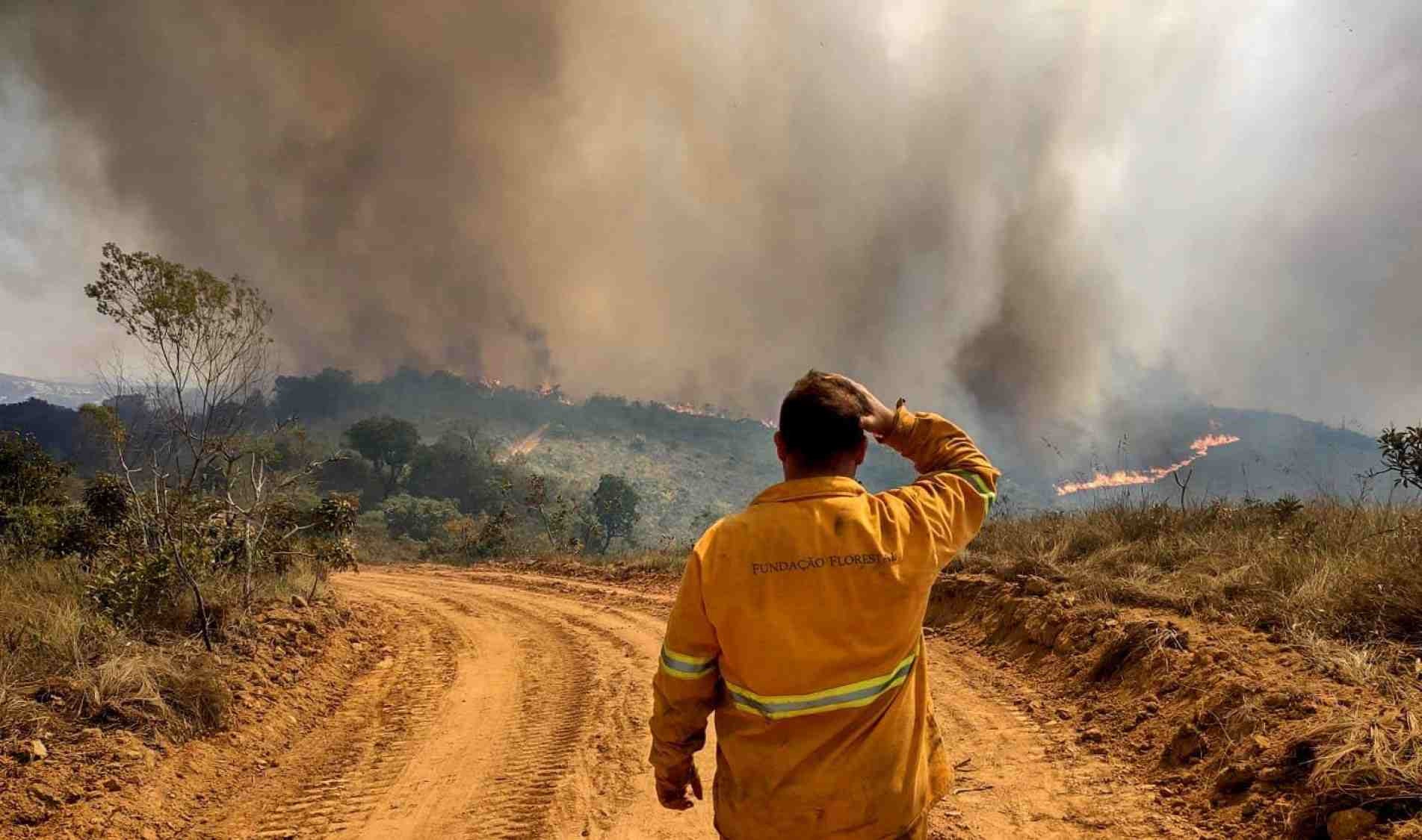 Parque do Juquery já perdeu 70% de sua área para as chamas.
