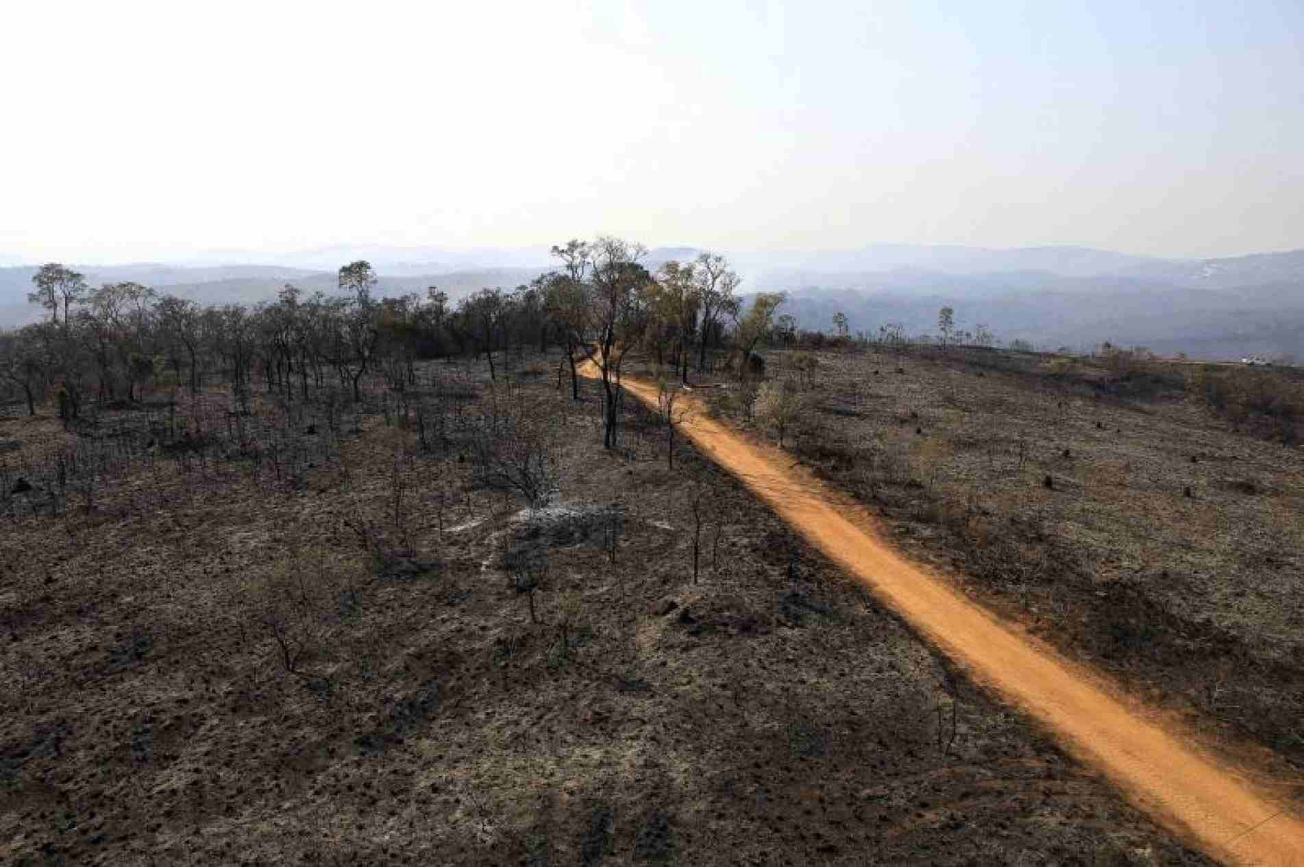 A estimativa é que 65% total da área do parque foi atingida pelo fogo