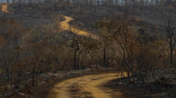 A tendência é de crescimento também em São Paulo.