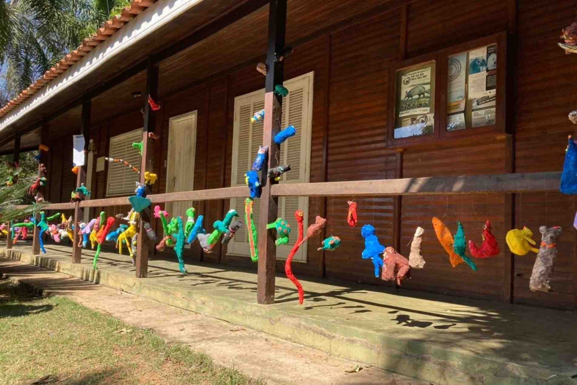 Elas têm a brasilidade das cores vivas e a riqueza de variedade dos animais da fauna nacional.