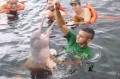 Programa na Amaz&ocirc;nia inclui passeios de barco, pescarias, nata&ccedil;&atilde;o com boto rosa e gastronomia ind&iacute;gena. - ARQUIVO PESSOAL