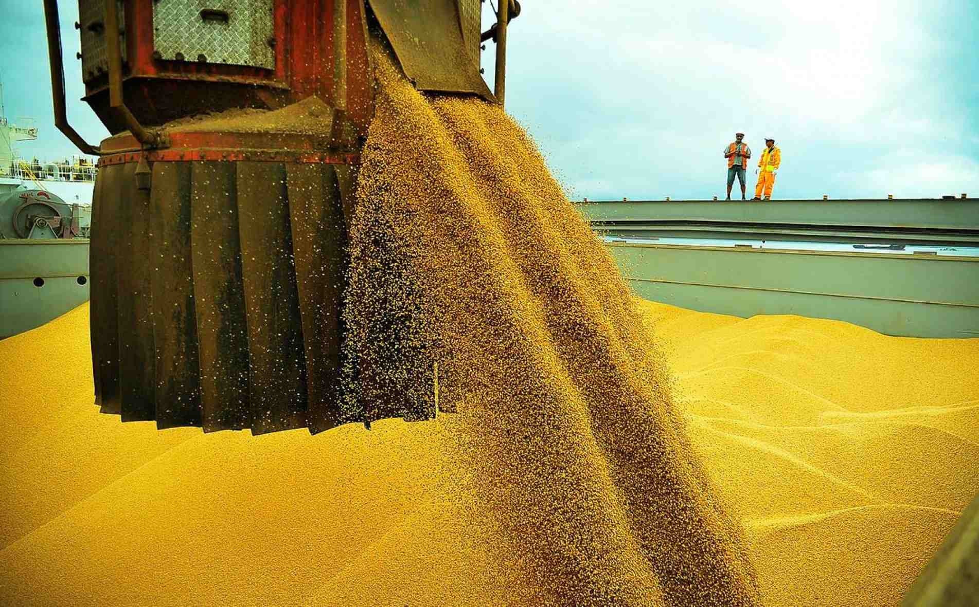 Safra de soja no ano passado rendeu R$ 169,1 bilhões.