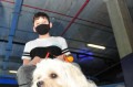 Gustavo Alonso, de 13 anos, é o tutor da cachorrinha Aboo. - FÁBIO ROGÉRIO (25/9/2021)
