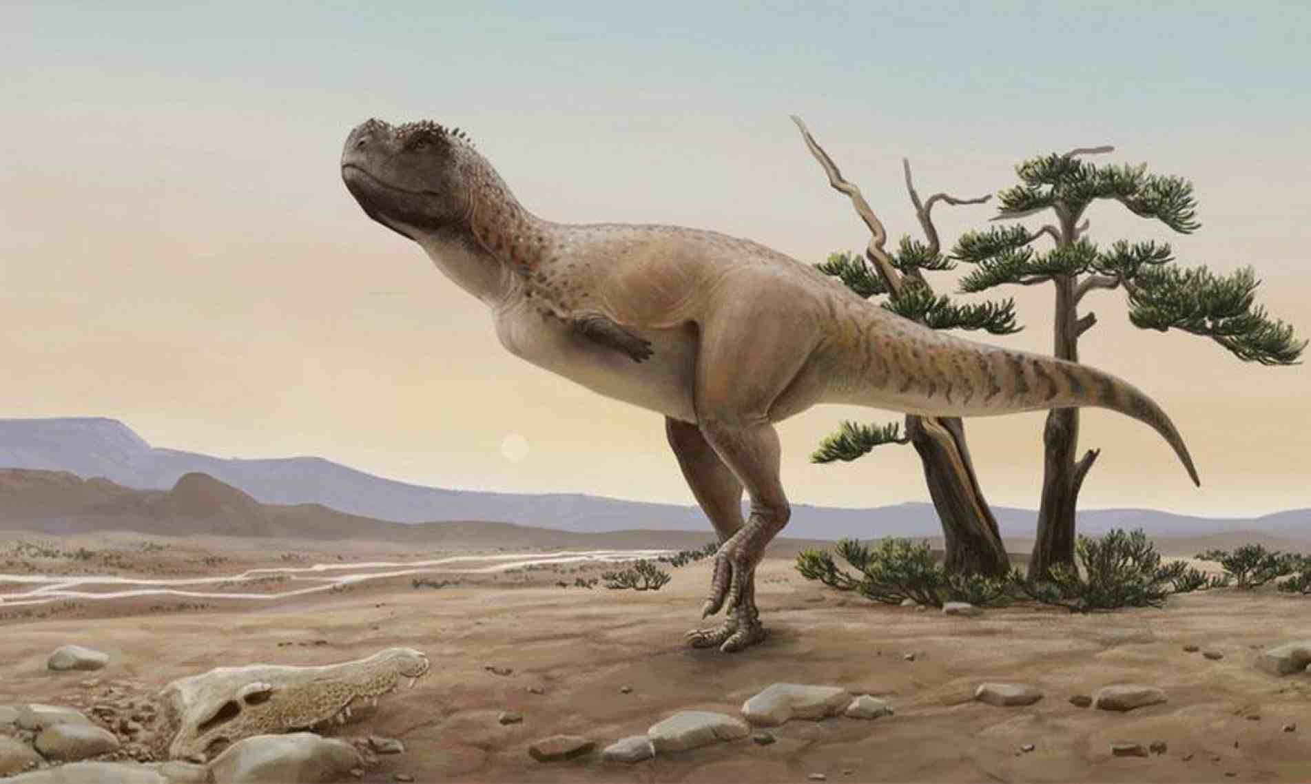 Esses grandes animais habitaram a região no Período Cretáceo, há 65 milhões de anos