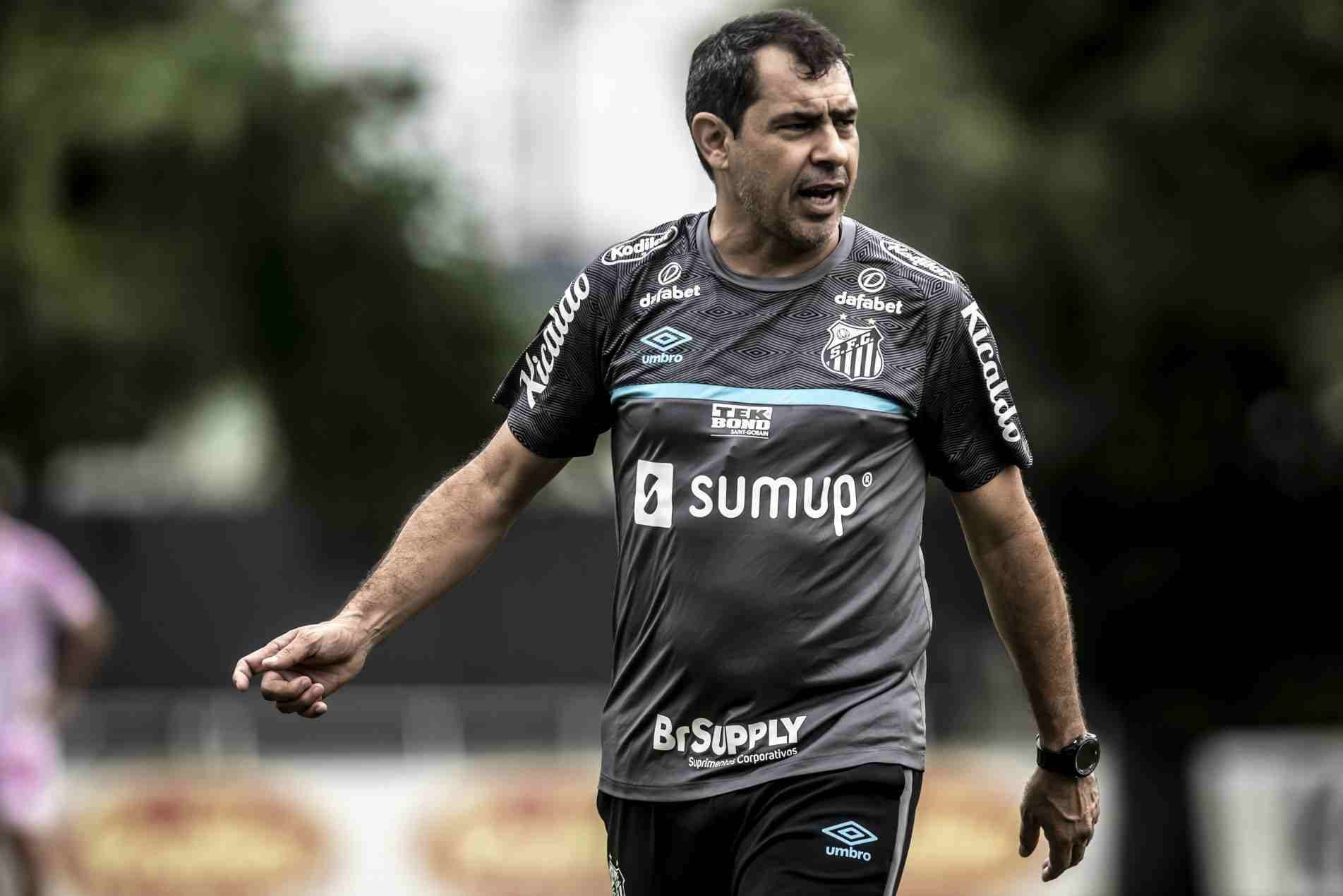 Técnico do Santos, Fábio Carille.