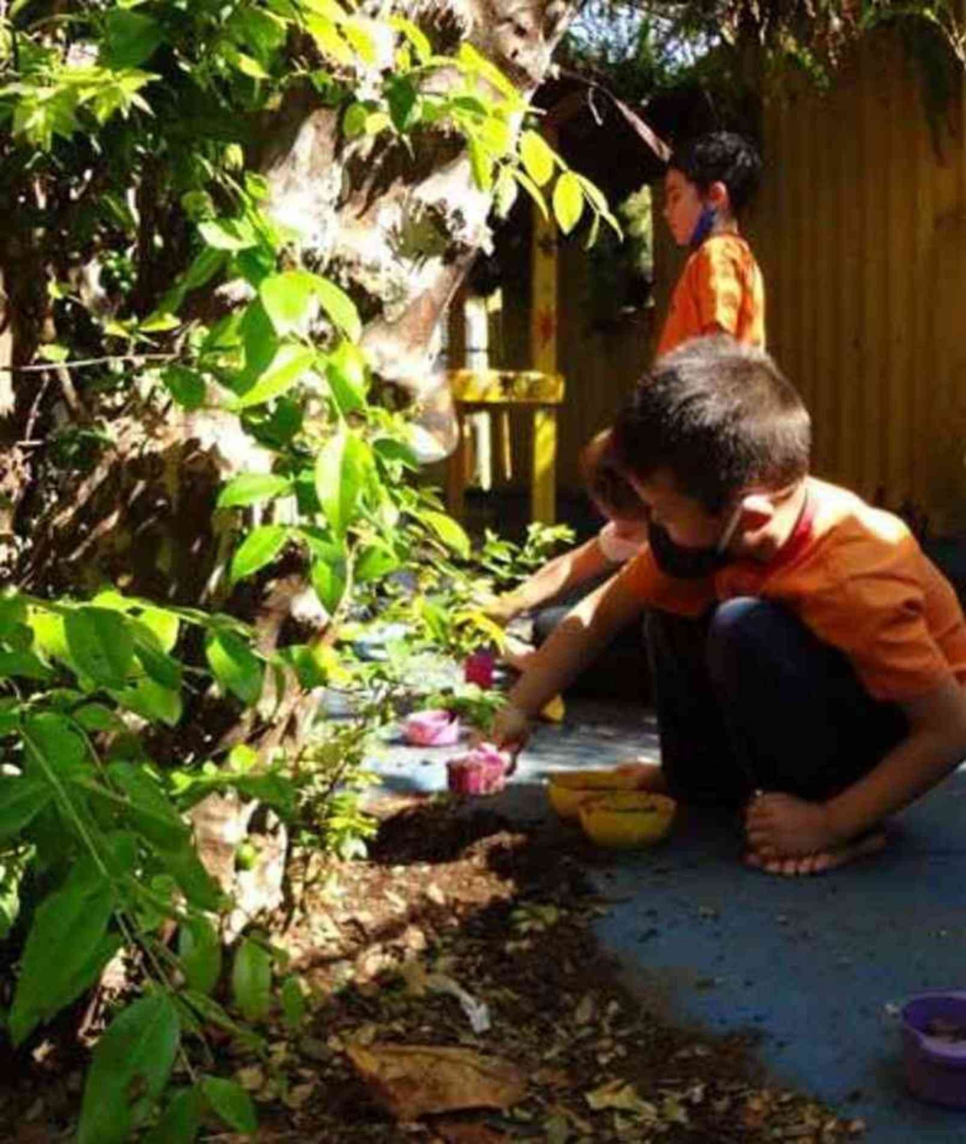 Na Escola Tarsila do Amaral, em São Paulo, os pais agora elogiam a natureza ao redor, que antes viam com preocupação.