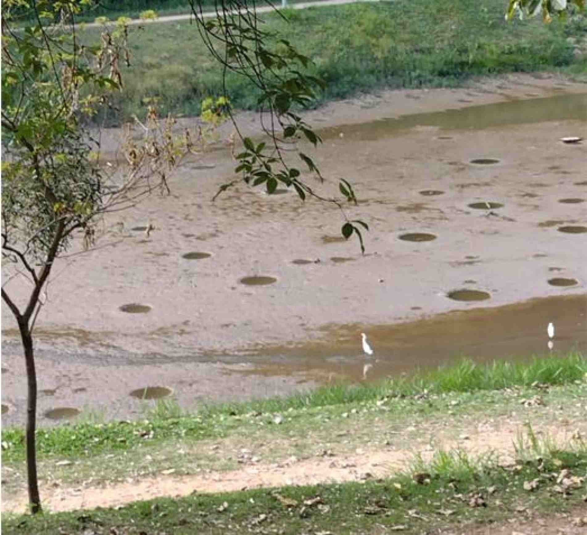 Lago do Parque Carlos Alberto de Souza ficou com o leito aparente após ato de vandalismo