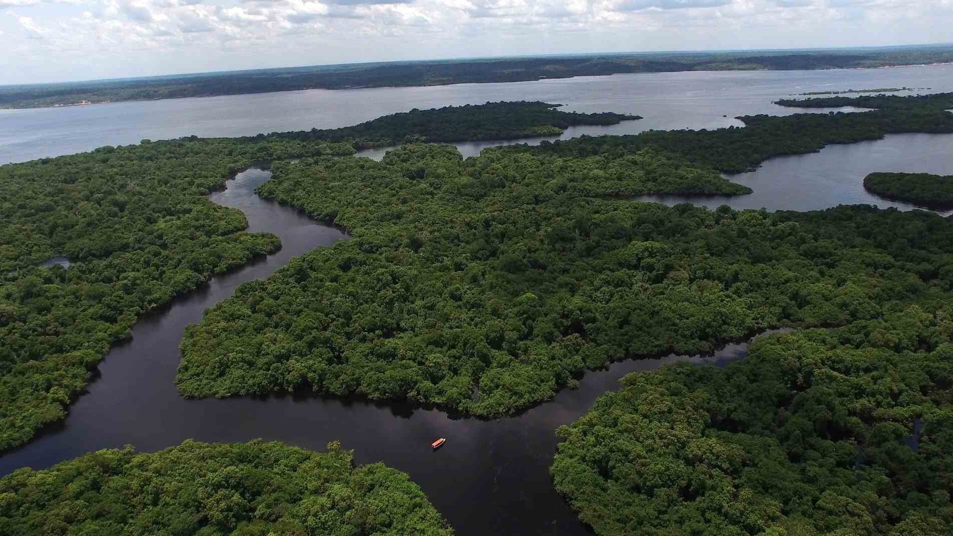 A Amazônia é um mundo
