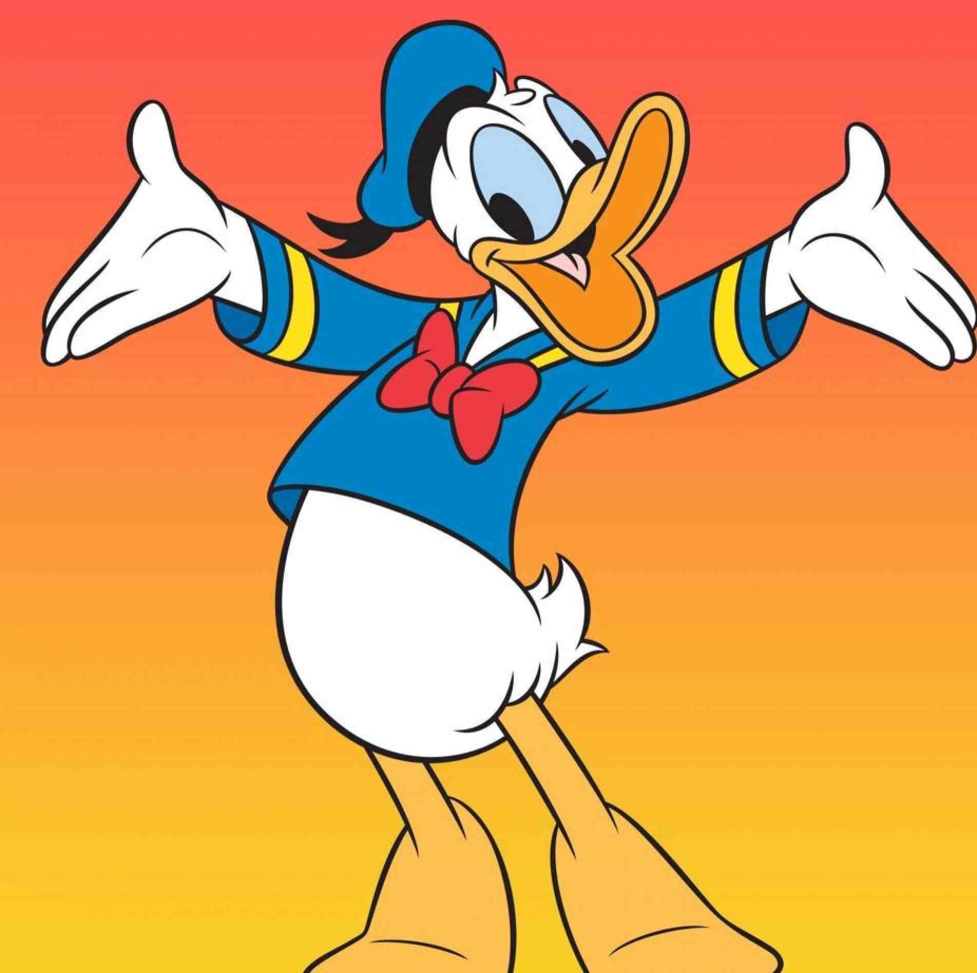 O Pato Donald não é um pato: é um marreco.