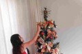 Heloísa de Jesus Gomes, de 6 anos, já montou a árvore e espera o Papai Noel chegar. - ARQUIVO PESSOAL
