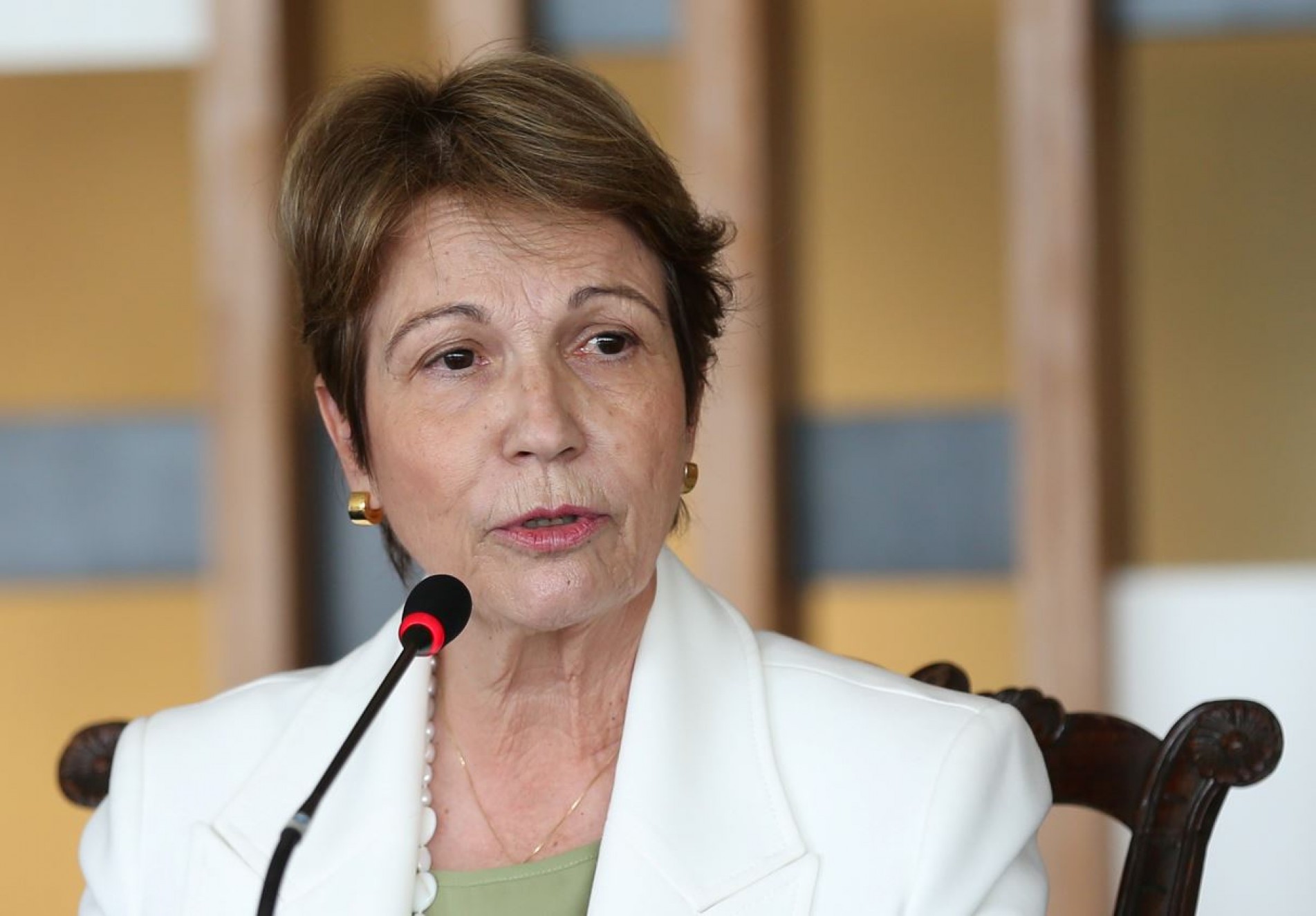 Tereza Cristina, Ministra da Agricultura, Pecu&aacute;ria e Abastecimento do Brasil.