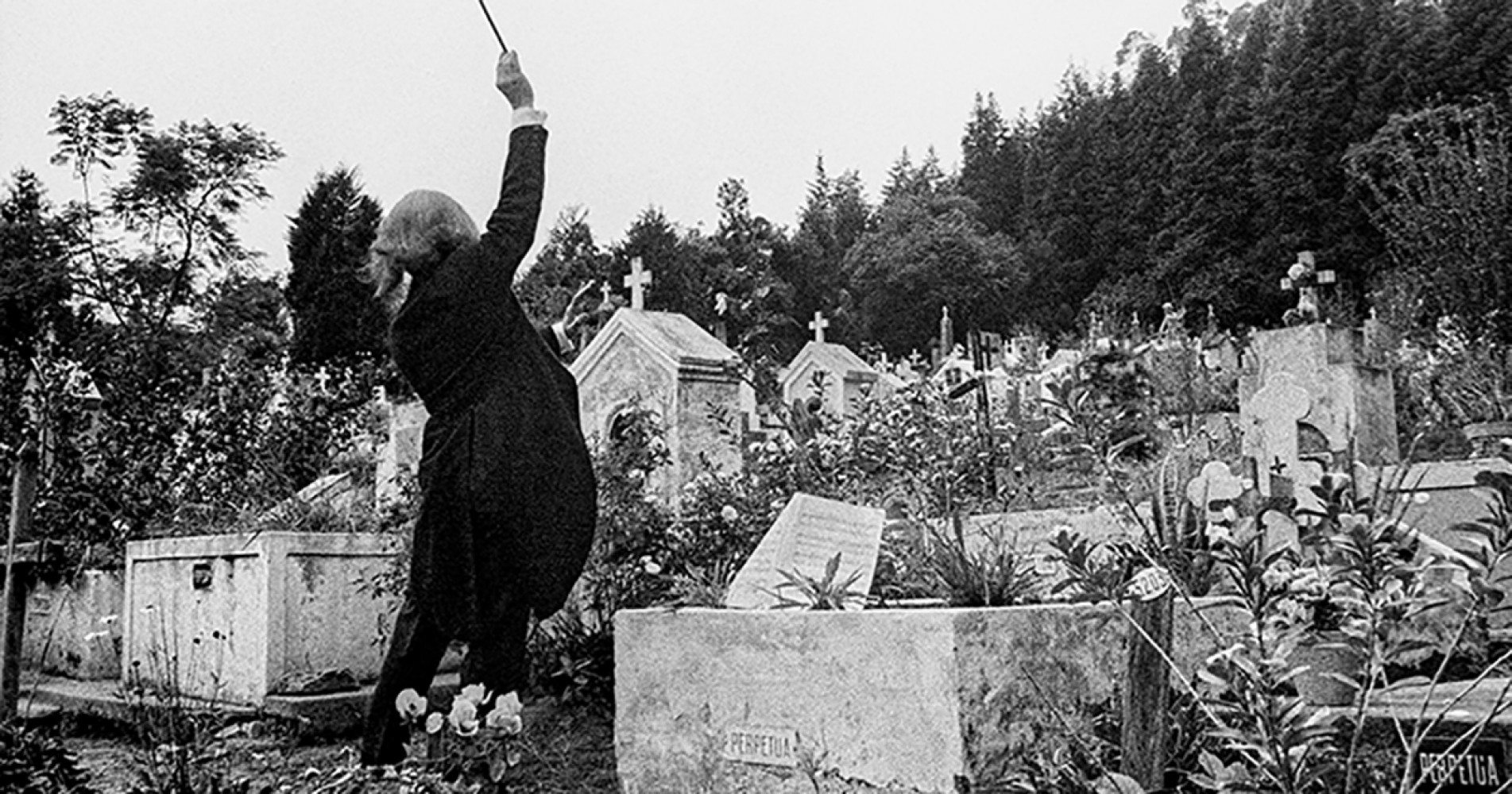 Maestro regendo túmulos em Caieiras é uma das imagens-referência do livro.