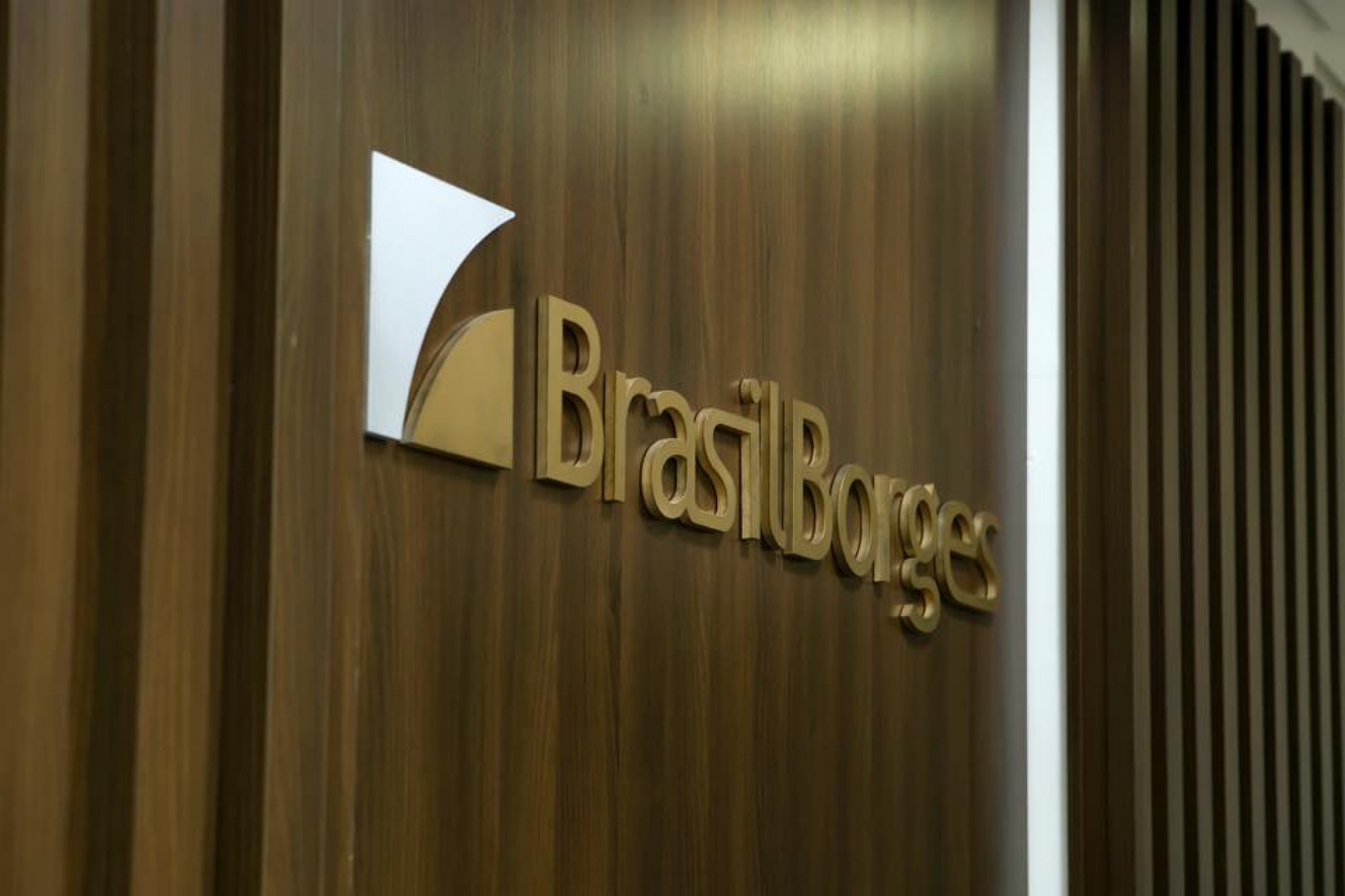 Brasil Borges Direito Empresarial