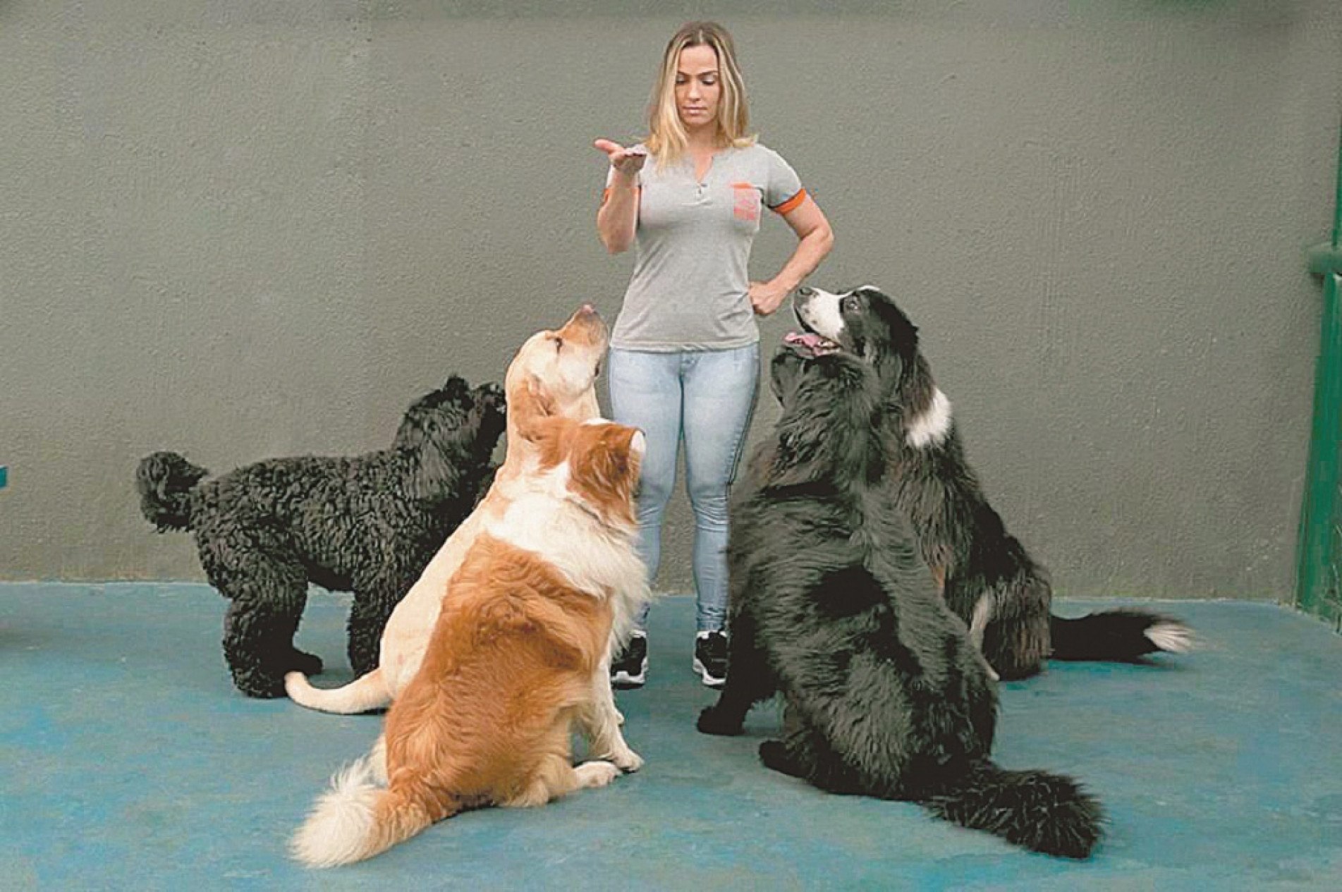 A especialista em comportamento canino Luísa Pires
