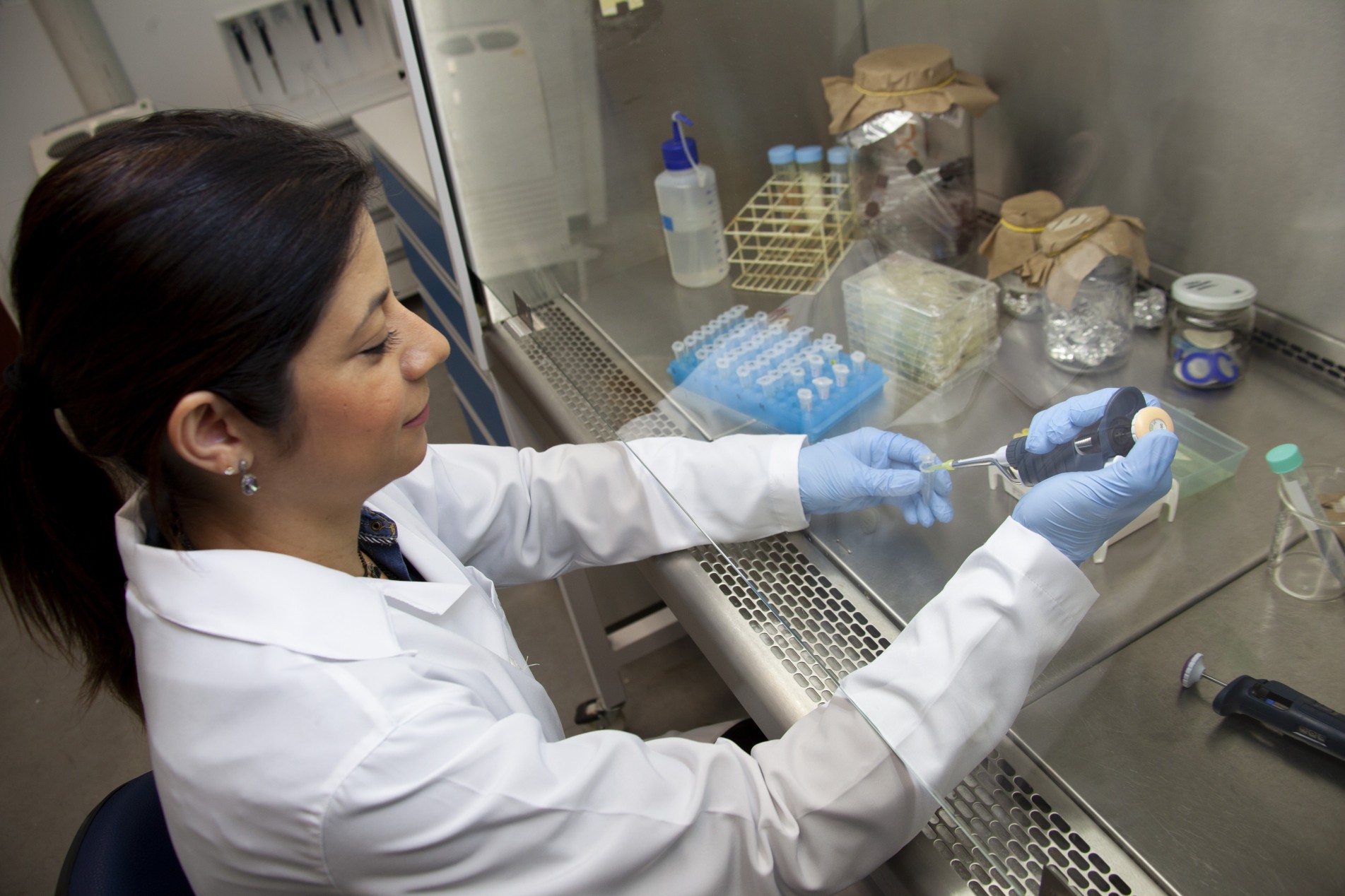 A pesquisadora Ludmilla R. R. Jorge desenvolveu um biofilme hidrogelatinoso a partir de dois biopolímeros para administração transdérmica de insulina