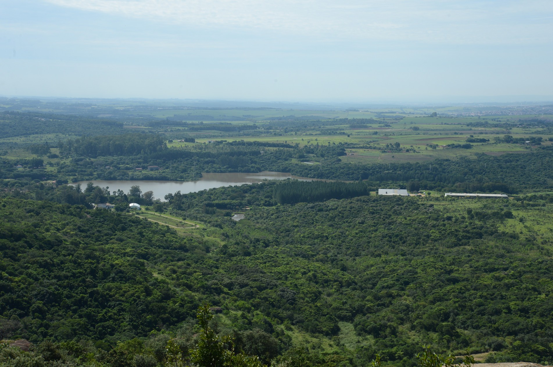 Floresta Nacional de Ipanema (Fazenda Ipanema), em Iperó.