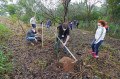 Foram plantadas 268 mudas nativas da Mata Atl&acirc;ntica e do Cerrado, biomas que caracterizam a regi&atilde;o, em evento realizado como parte do componente curricular Universidade &Transforma&ccedil;&atilde;o Social  - Fernando Rezende / Uniso 