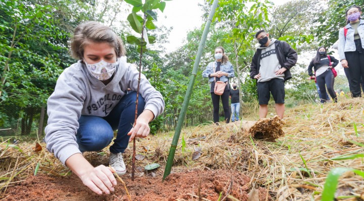 Estudantes realizam plantio de mudas de árvores para compensar CO2 emitido durante o semestre letivo 