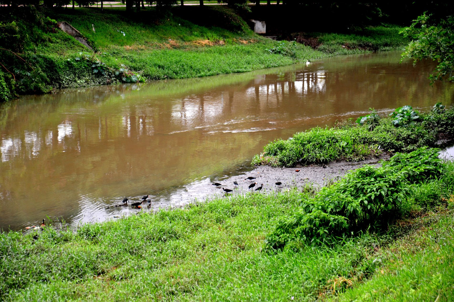Rio Sorocaba.