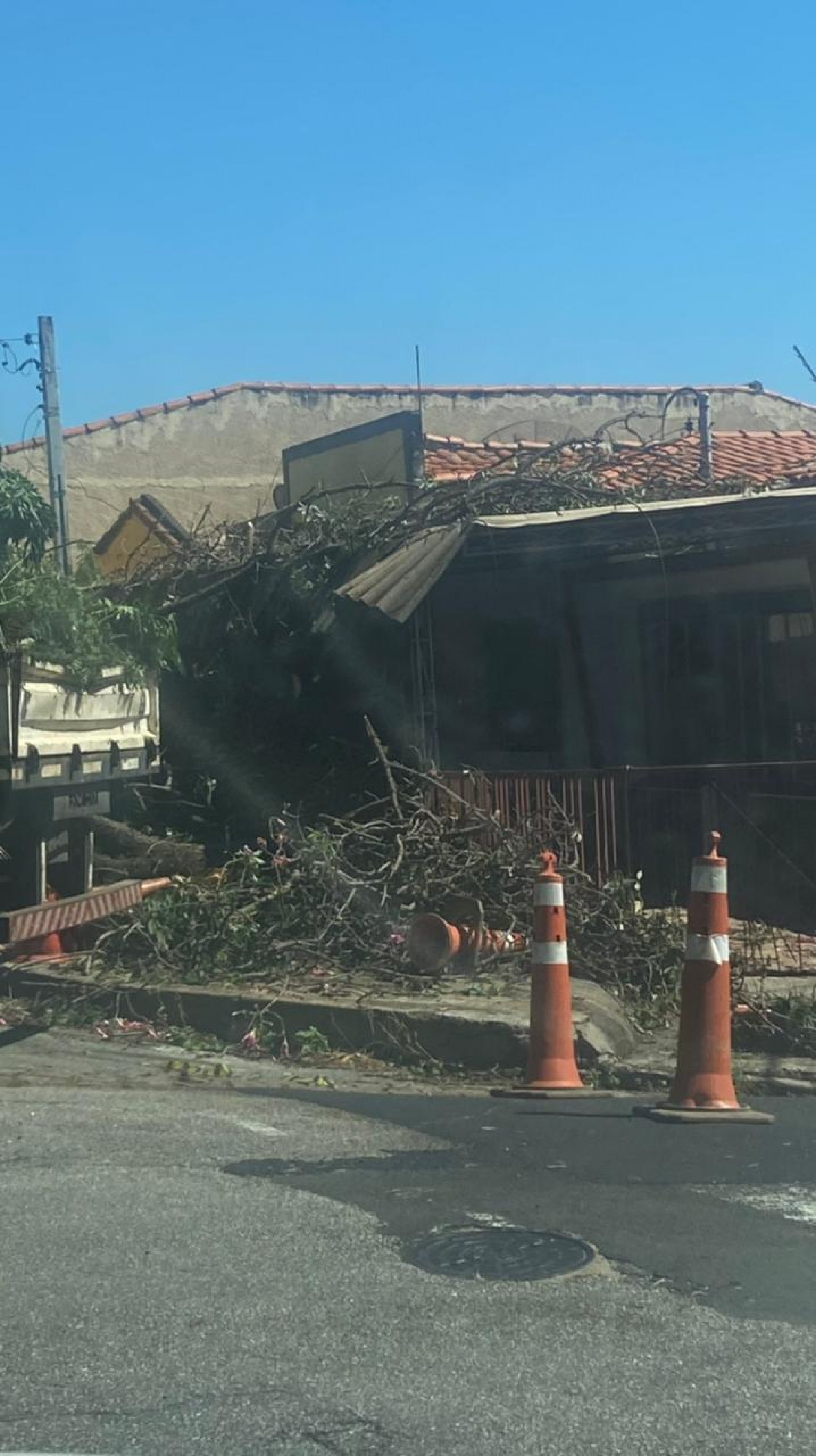 A árvore danificou parte da garagem da residência