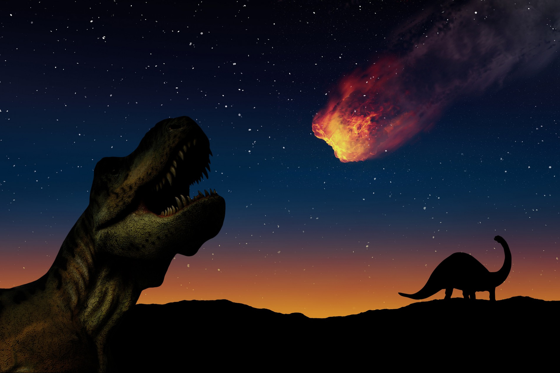 A queda de um asteroide, há 66 milhões de anos, causou uma série de desastres seguidos de convulsões climáticas.