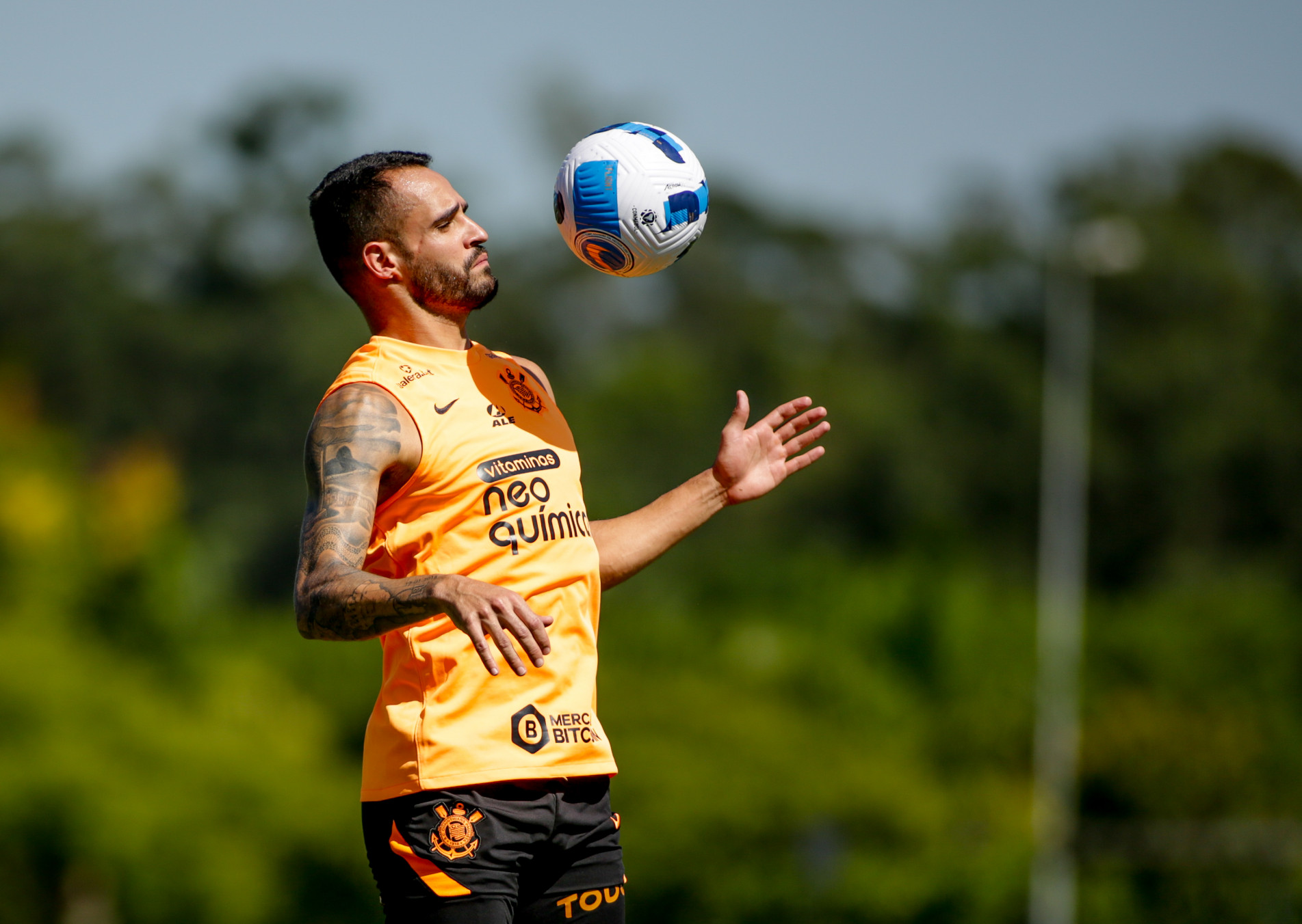 Preparação visa estreia na Copa Libertadores.