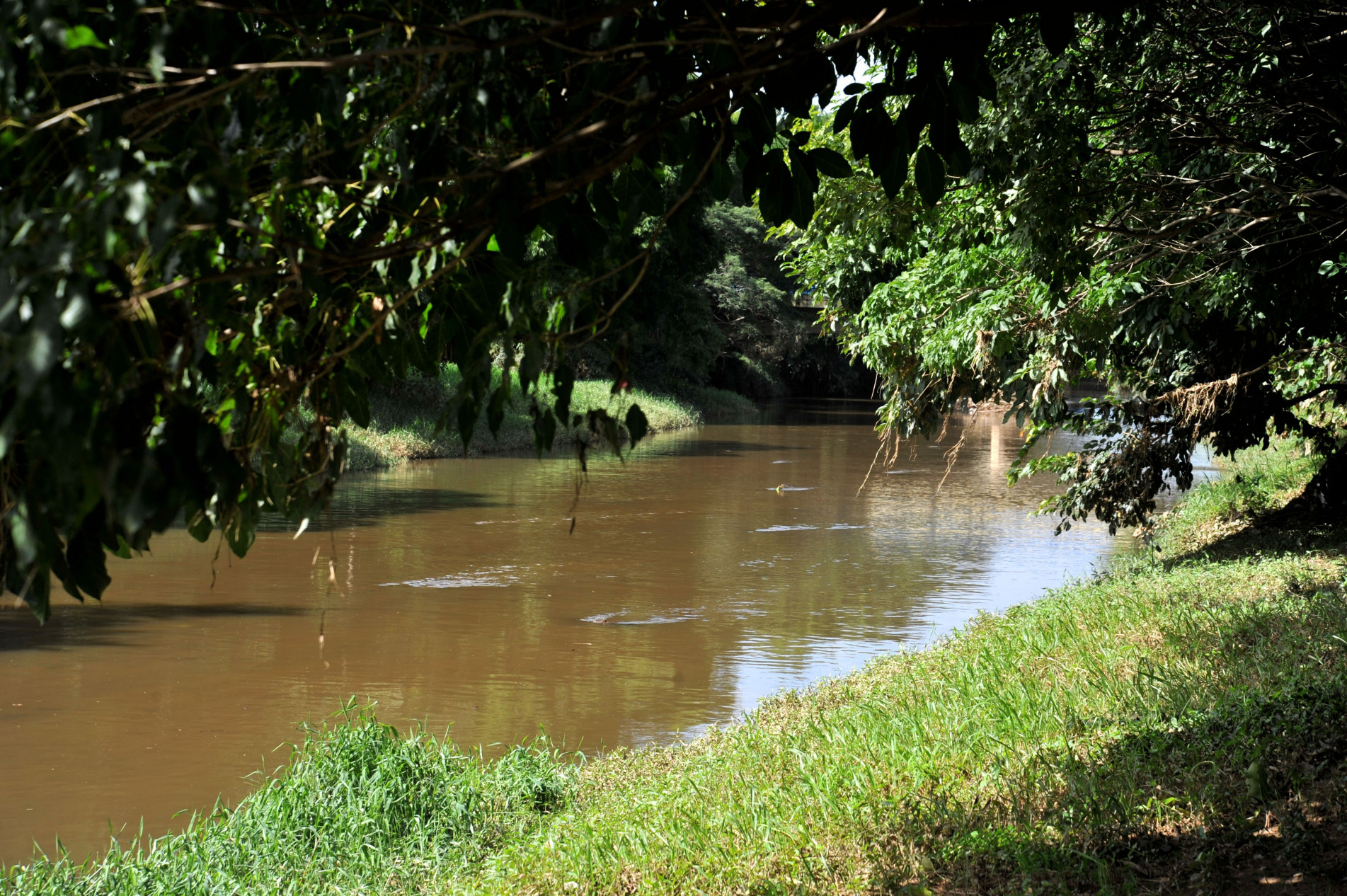Rio Sorocaba.