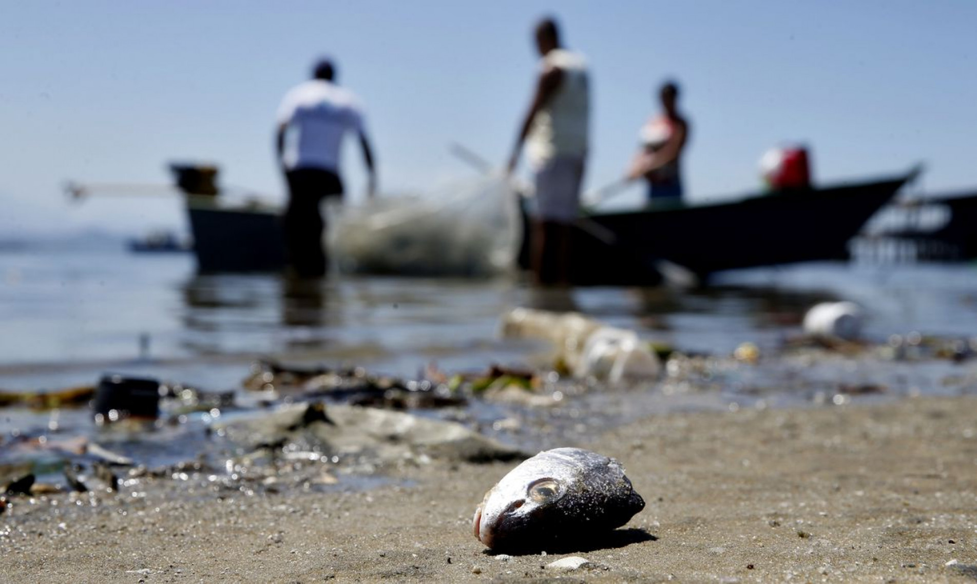  Rio de Janeiro - Mesmo polu..da, Ba..a de Guanabara .. fonte de renda para milhares de pescadores (T..nia R..go/Ag..ncia Brasil)
    