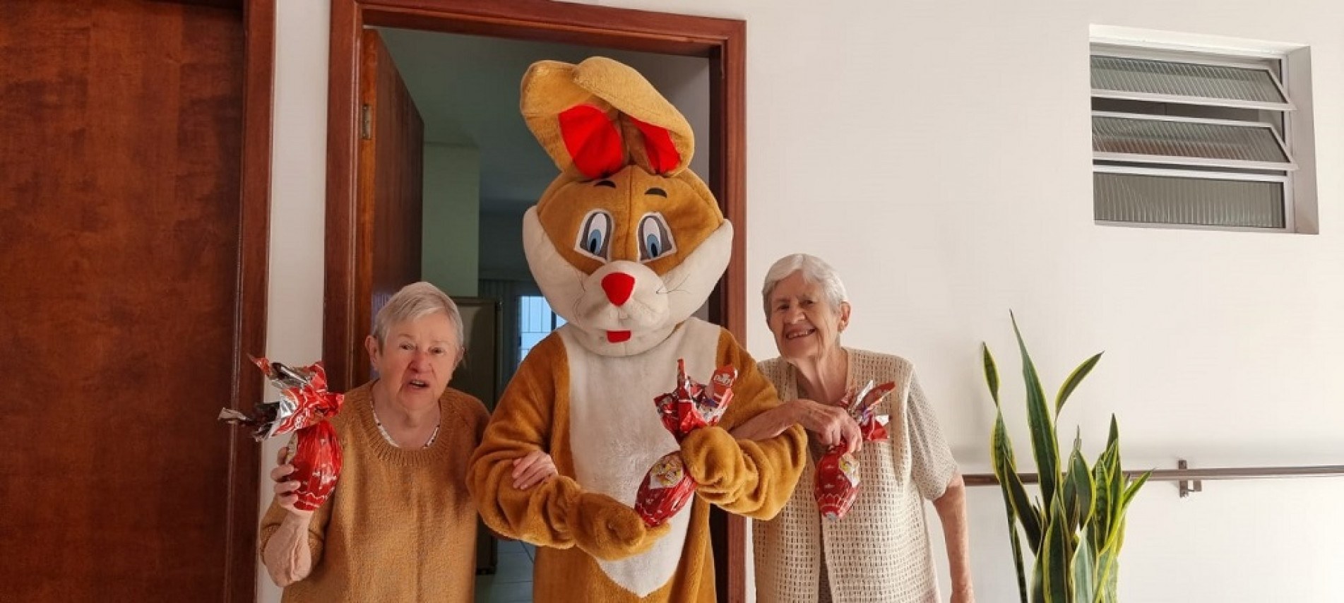 Campanha arrecadou fundos para 320 ovos de chocolate que foram entregues no Lar dos Velhinhos e Lar São Vicente de Paula

