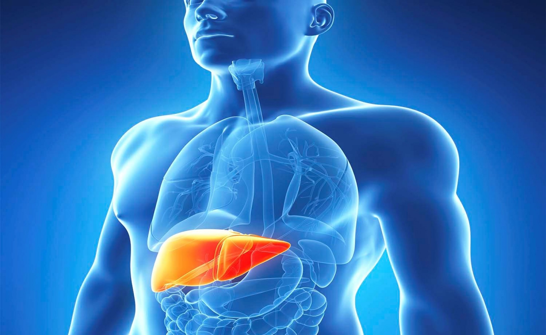 A hepatite é uma inflamação que atinge o fígado.
