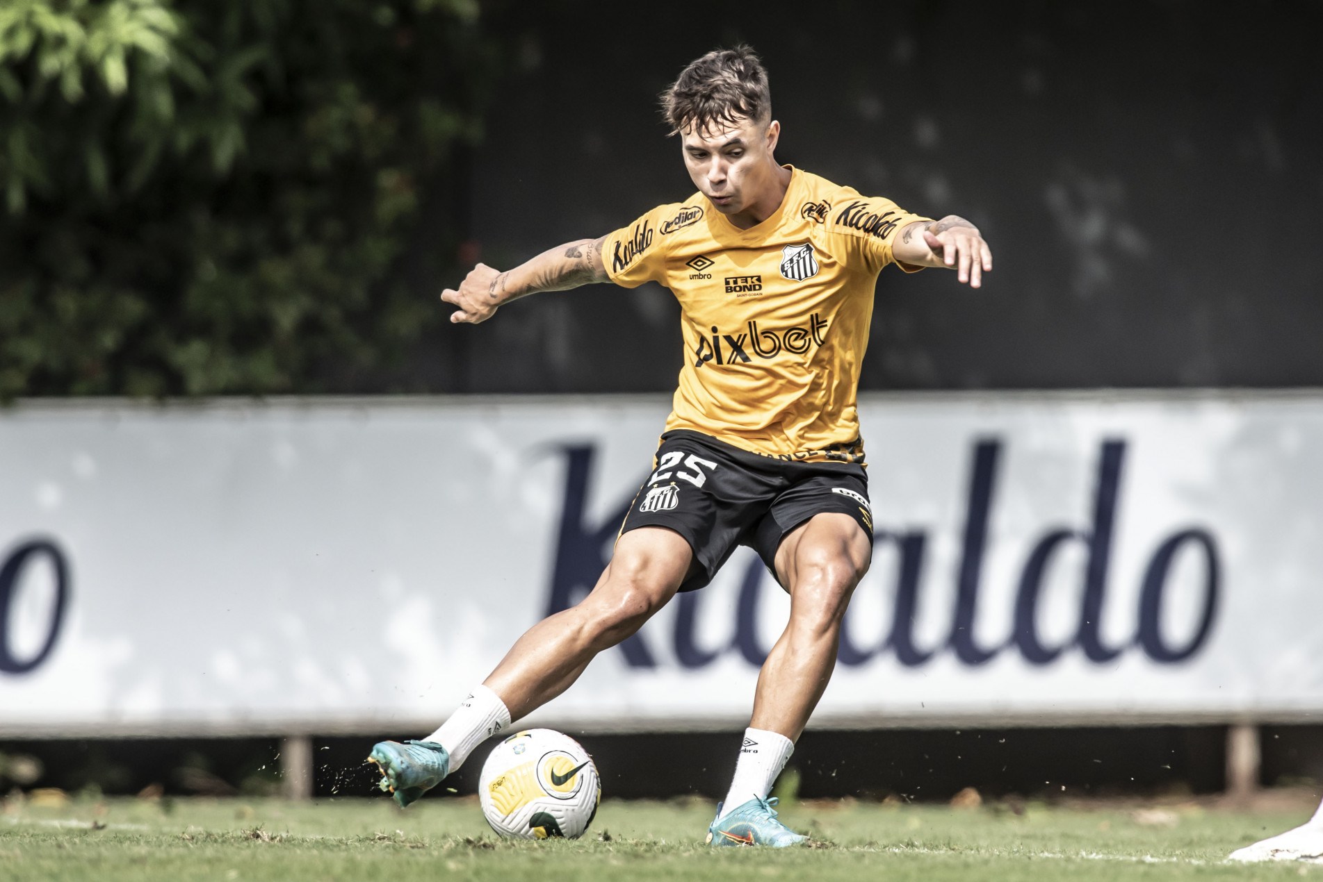 Zanocelo deve voltar ao time titular do Peixe.