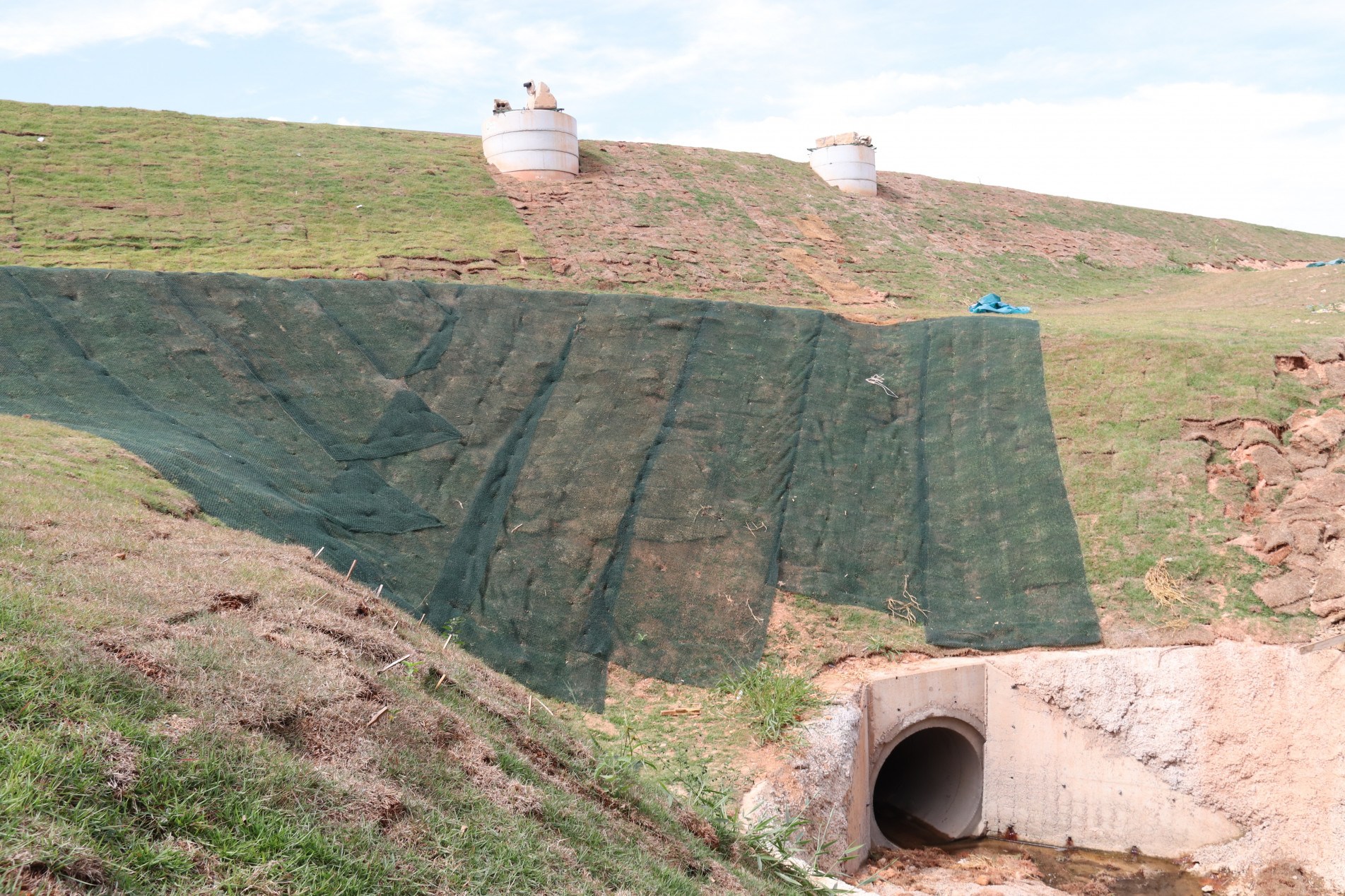 Equipe técnica ambiental da Prefeitura observou 105 diferentes espécimes no local.