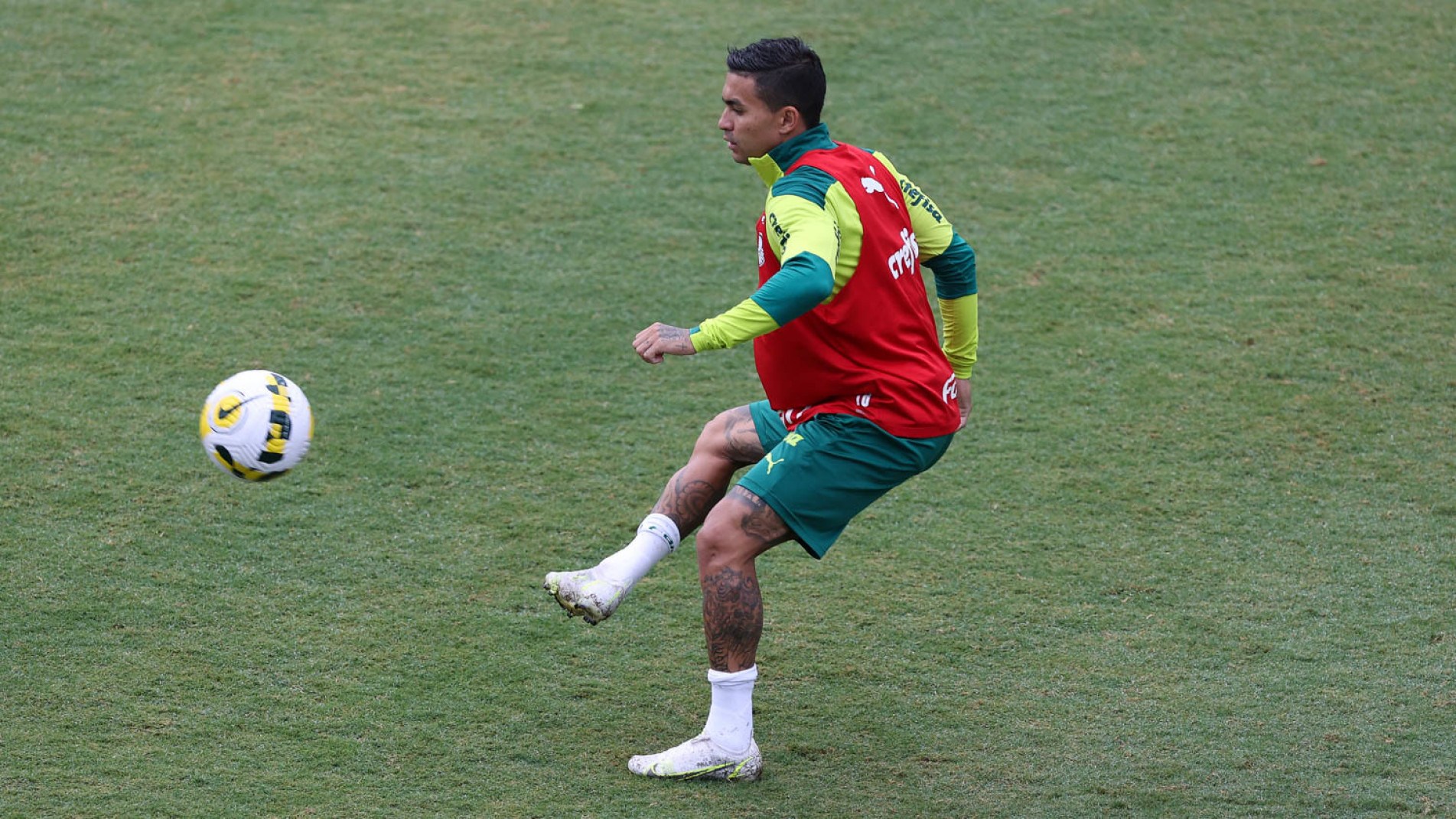 Poupado contra o Emelec, Dudu volta ao time hoje (30).