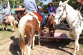 Montarias e cavaleiros durante parada de descanso no Rinc&atilde;o Ga&uacute;cho. - THIAGO DELMONDE / SECOM