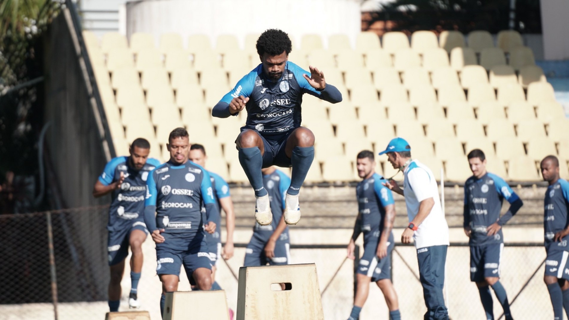 Dogão voltará a campo após cirurgia no joelho.