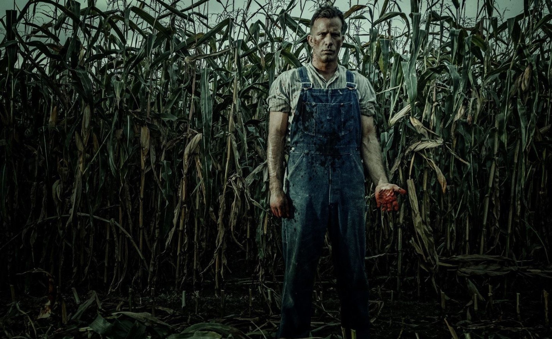 O escritor Stephen King teve várias obras convertidas para o cinema.