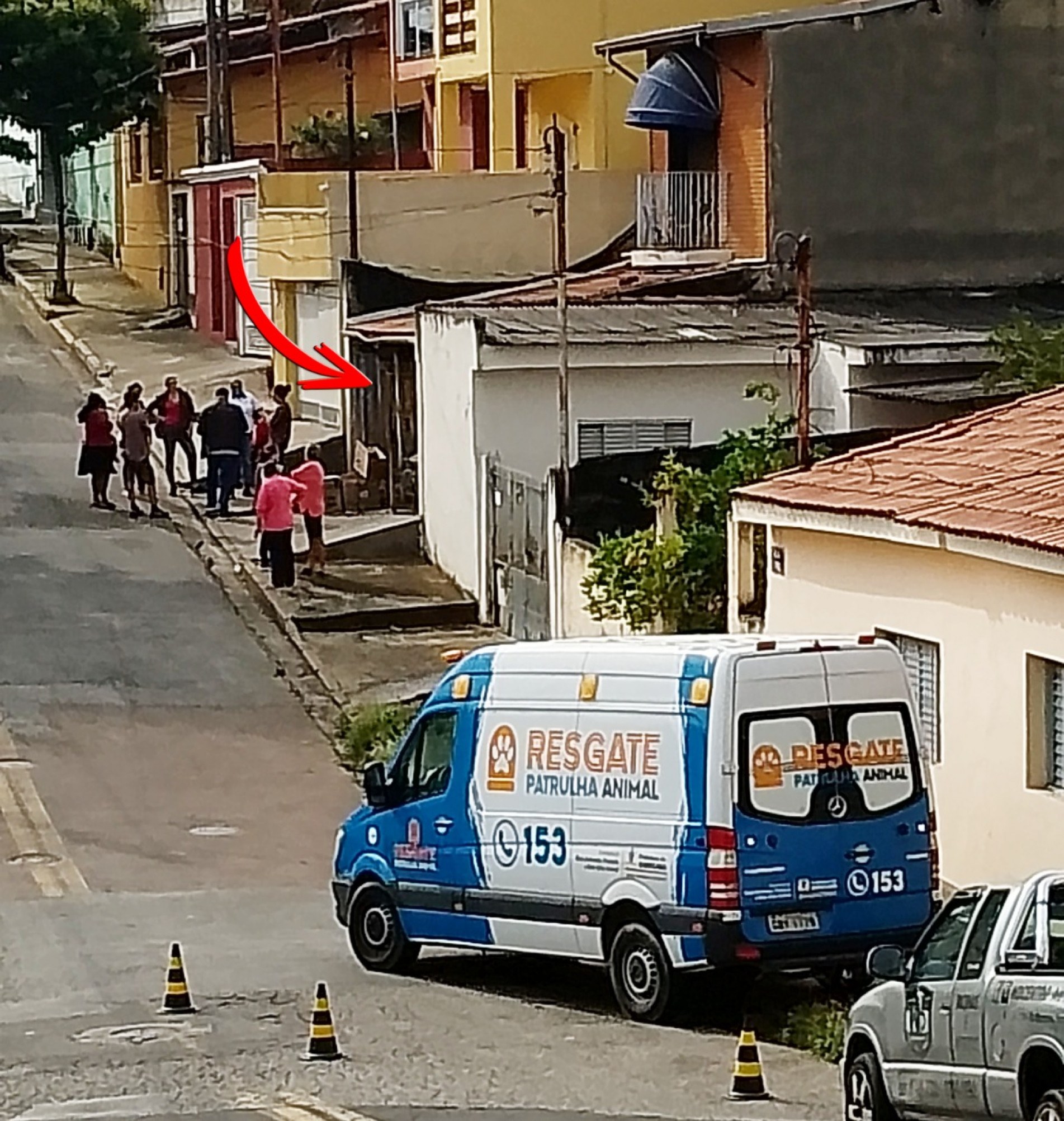 A Sema realiza operação de resgate de 40 cães em uma casa na Vila Hortência 